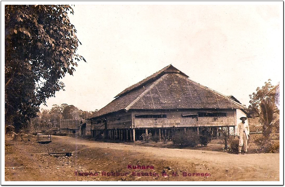 KUHARA TAWAU RUBBER ESTATE, BRITISH NORTH BORNEO