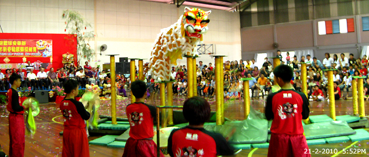 Tiger Dance in Malaysia