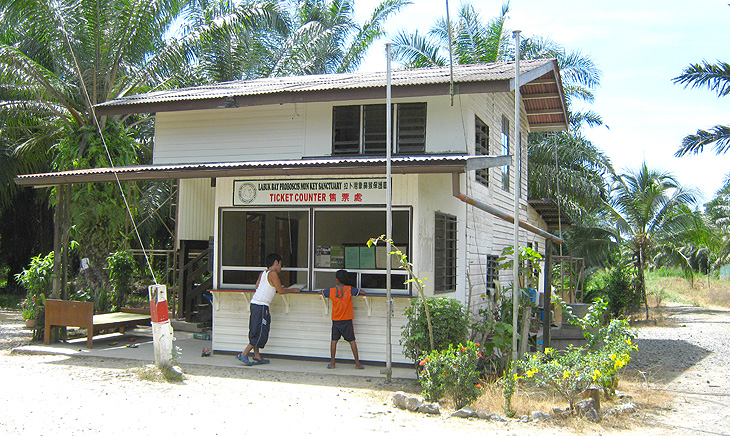 Labuk Bay Proboscis Monkey Sanctuary