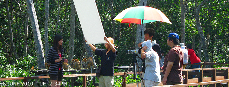 Labuk Bay Proboscis Monkey Sanctuary