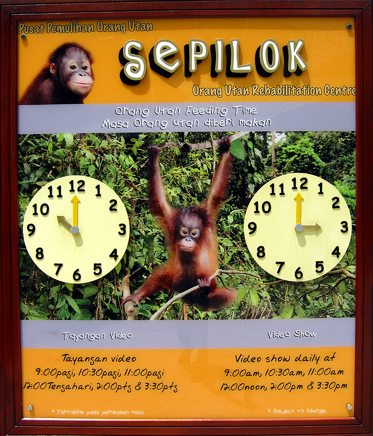 Sepilok Orang Utan Rehabilitation Centre