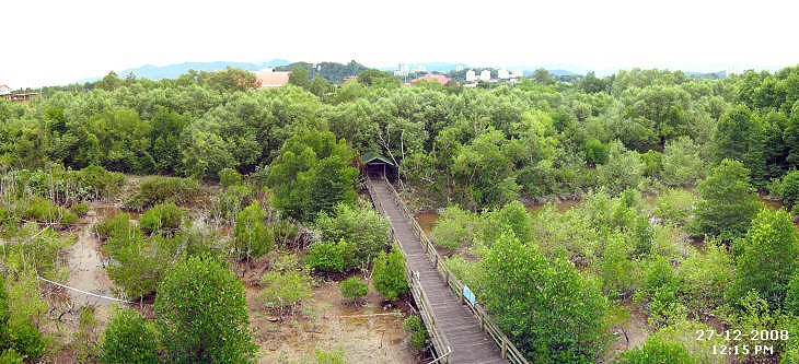 Kota Kinabalu Wetland Centre 