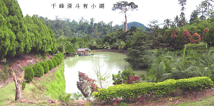 Mini Zoo in View Top Resort
