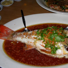 Seam Red Snapper in Soy Sauce
