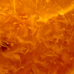 Shark's Fin Soup with Chicken