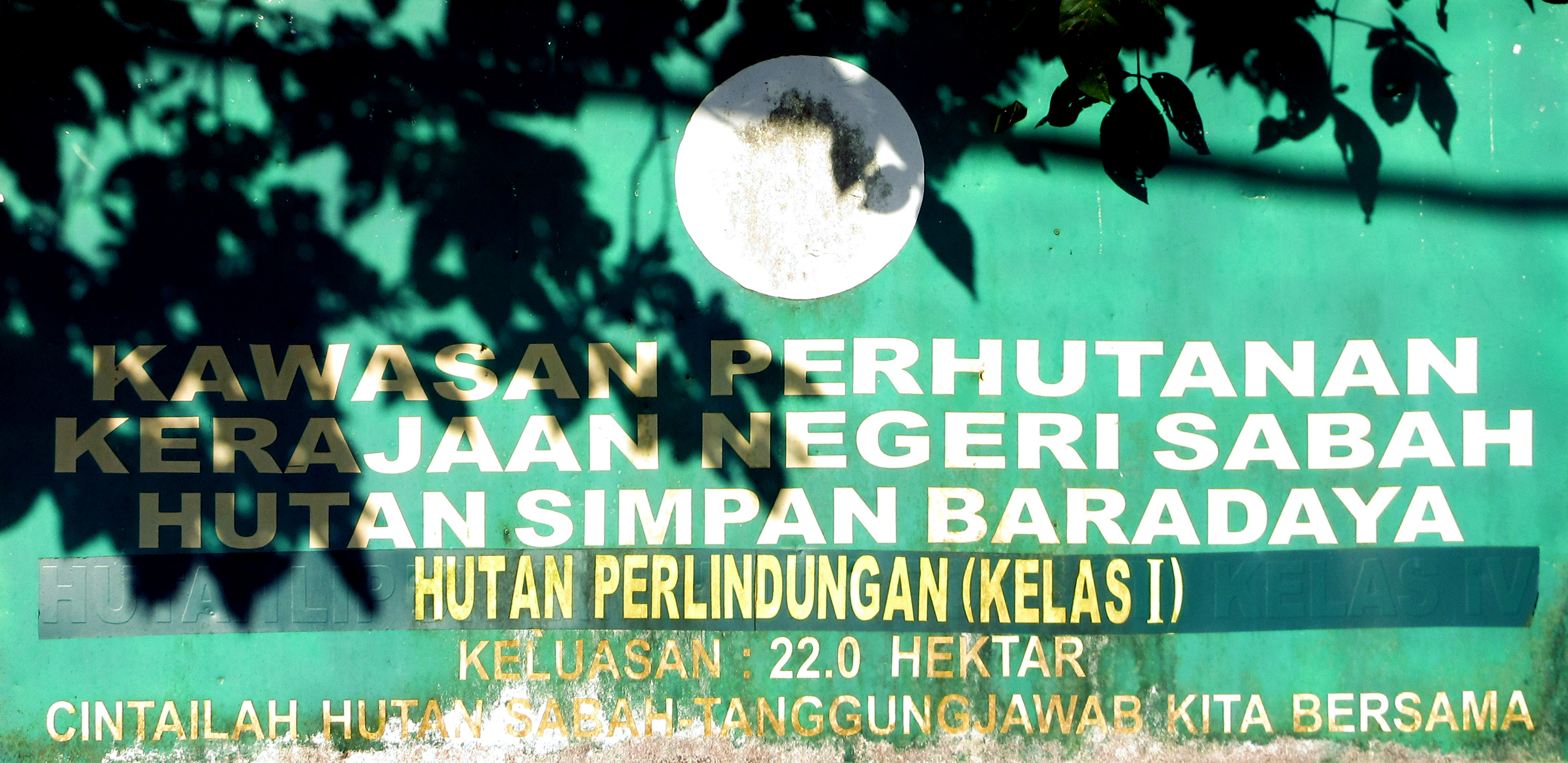 BARADAYA FOREST RESERVE