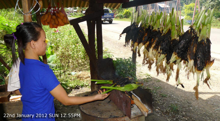 Kota Marudu