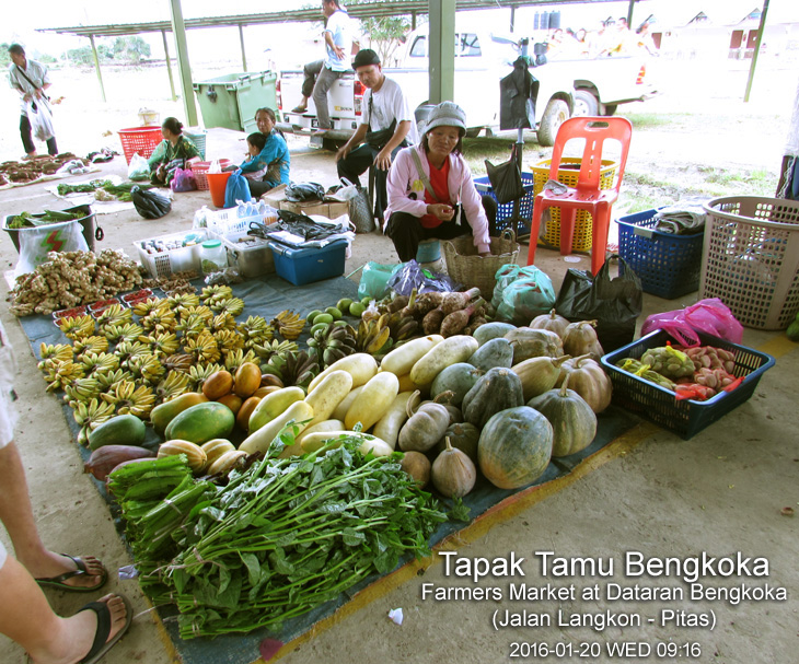 Tapak Tamu Bengkoka