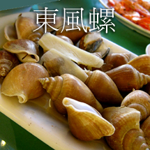 東風螺，沙巴特產