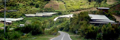 Road to Mesilau Nature Resort