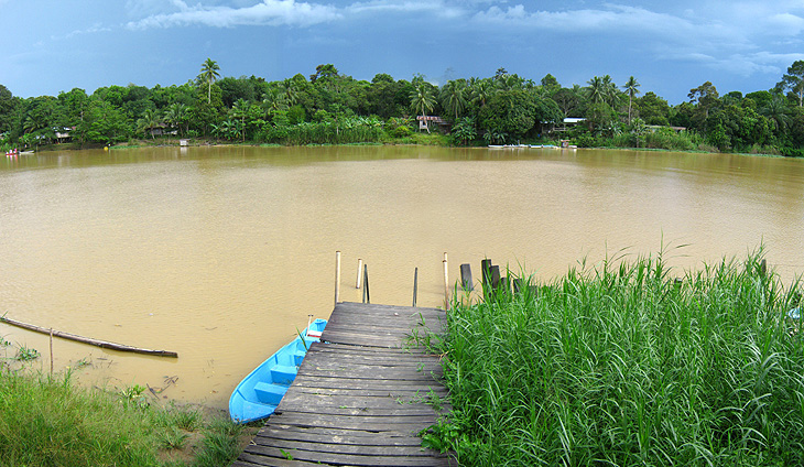 Boat jetty at Kinabatangan River side