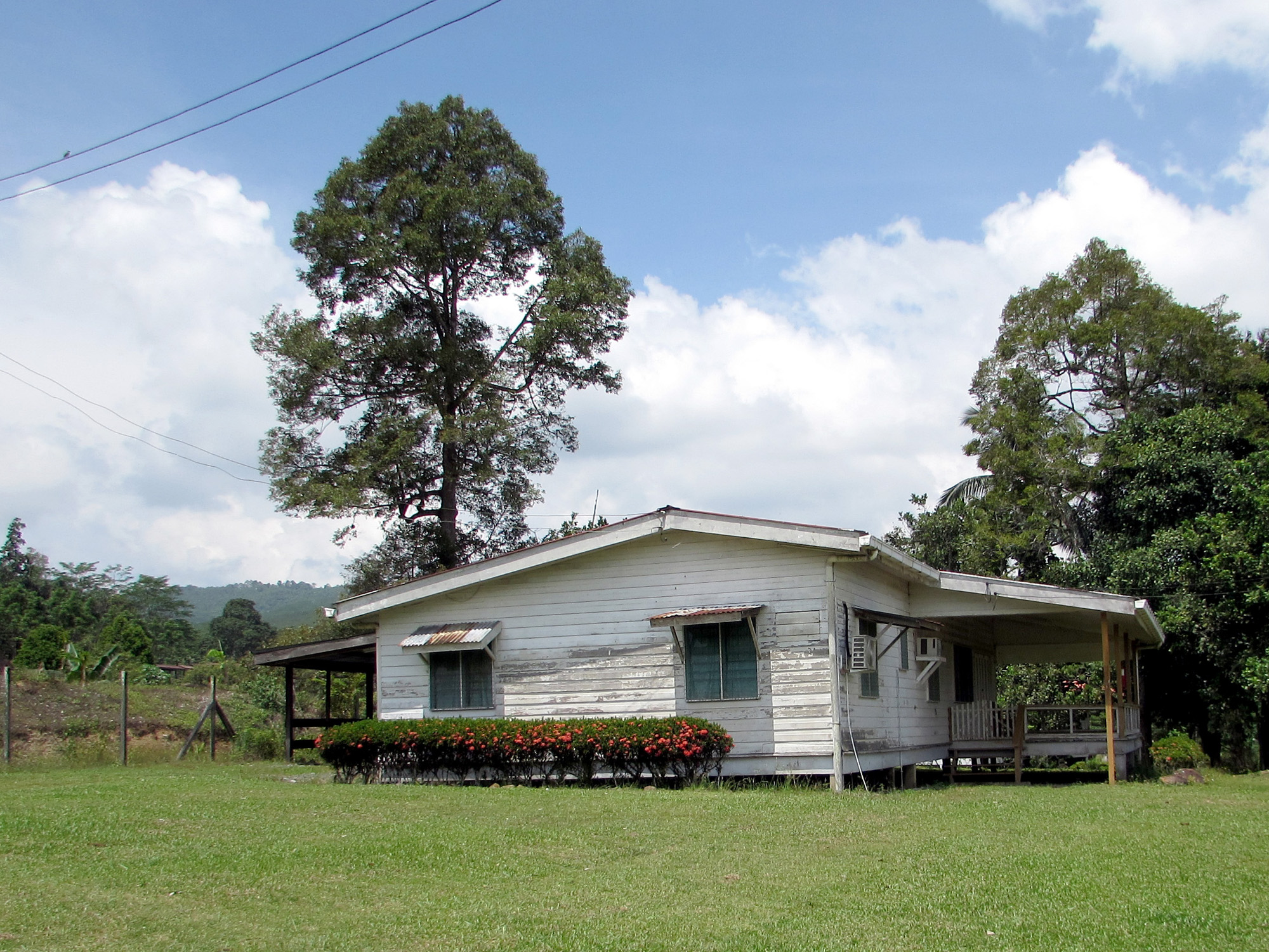 Staff quarters of Brumas plantations of Sabah Softwood Sdn. Bhd. under Yayasan Sabah Foundation