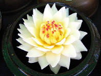Soap carvings in Chiang Mai