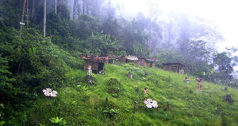 Genting Skyway