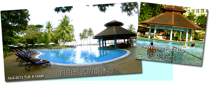 �ӥ��v��������Waves Pool Bar��a���`�a�x