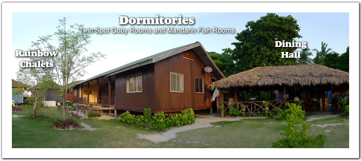 Dormitories Twin Spot Goby Rooms and Mandarin Fish Rooms