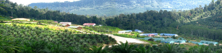 BUKIT TUKOK ESTATE, KALABAKAN