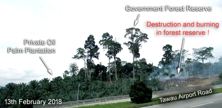 Destruction and burning in Membelua Forest Reserve beside Bandar Sri Indah
