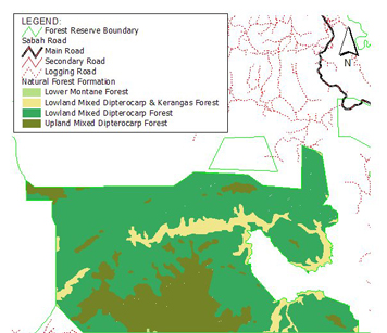 Ulu Kalumpang Forest Reserve