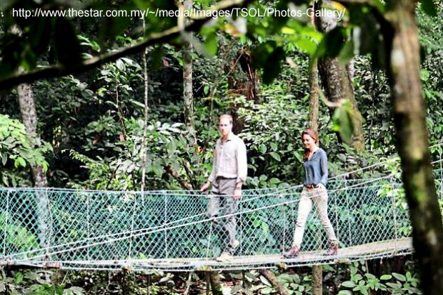 Pristine beauty: Prince William and Kate at Danum Valley during their visit in 2012.