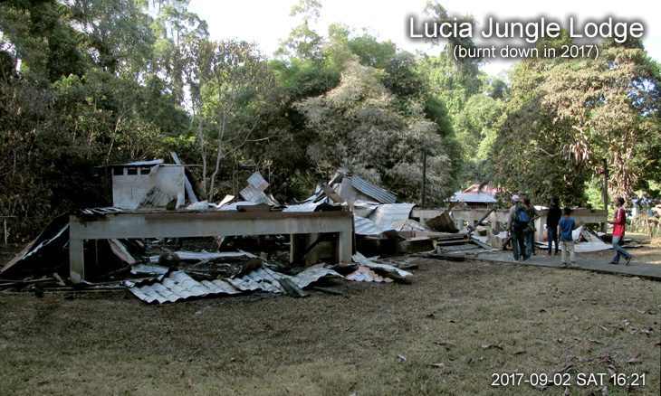 Lucia Jungle Lodge (burnt down in 2017)