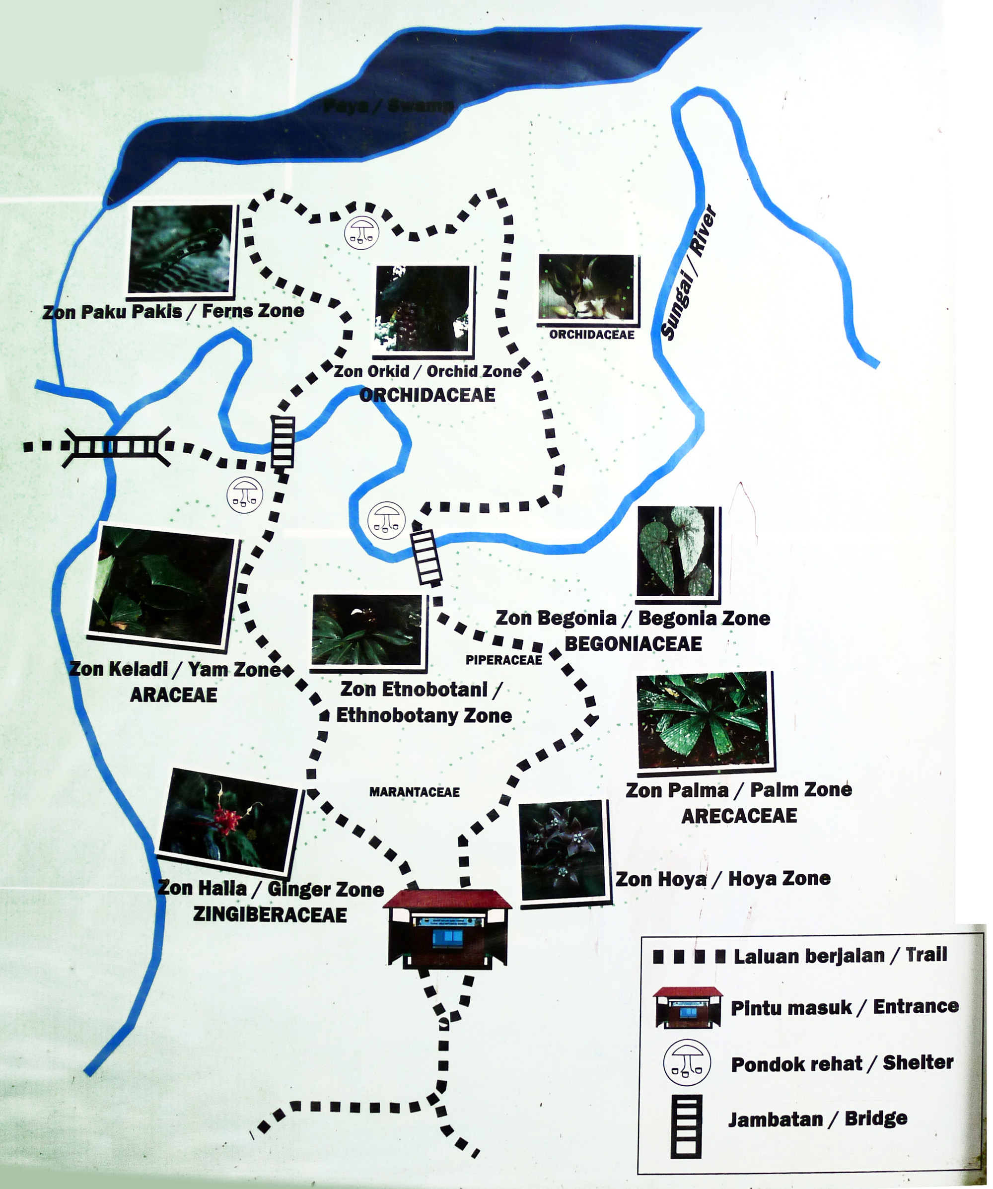 Direction Map of Botanical Garden of Tawau Hills Park