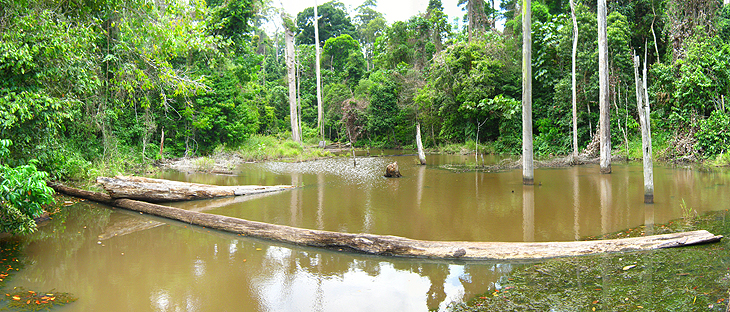 BSI Eco-Park
