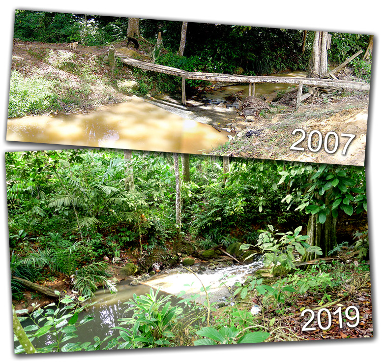 Babanga Mountain Stream in Bandar Sri Indah
