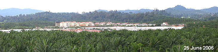 View of Taman Semarak from Tawau Sports Complex : Taman Semarak is just behind the newly completed Tawau Sports Complex. 