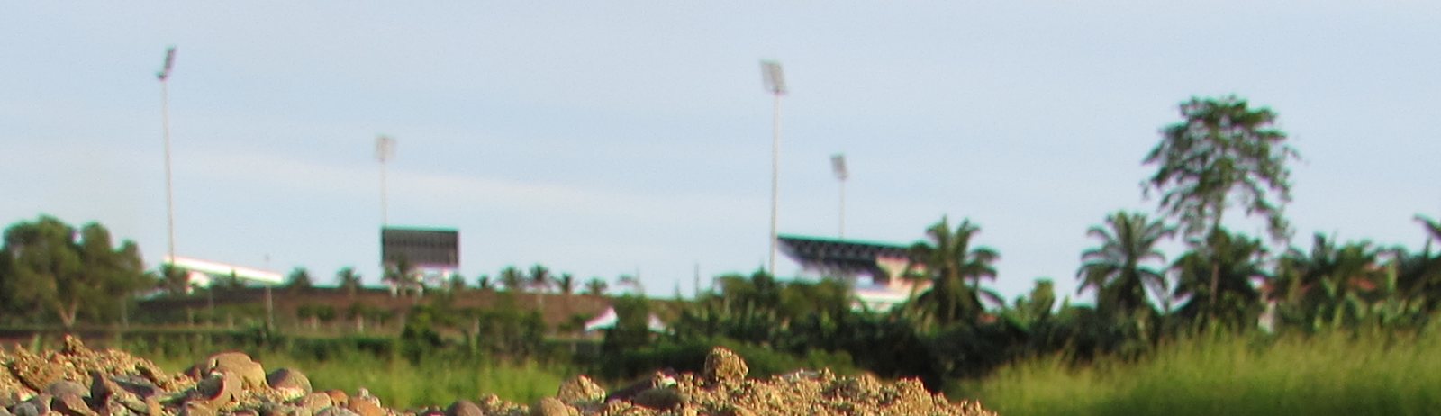 Floodlight towers, a scoreboard and the roof of a grandstand showing above trees and oil palms, seen from far off across rough grass, with a heap of sand and pebbles in the foreground.