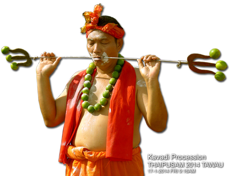 Kavadi Procession THAIPUSAM 2014 TAWAU