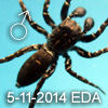 EDA species
