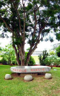 劉玉波基金大廈之園林