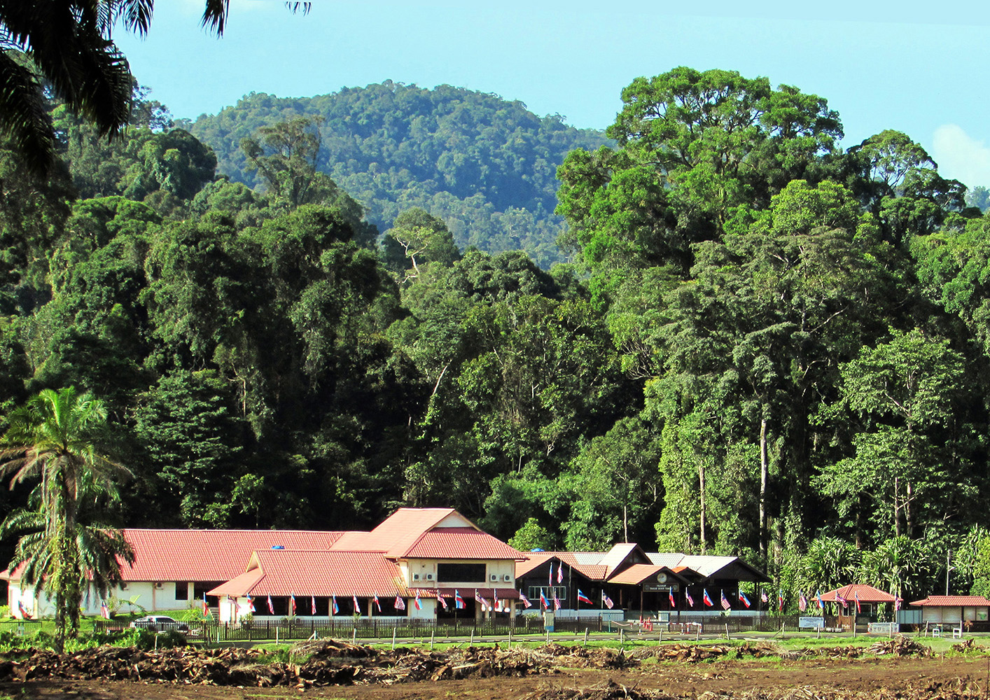 Tawau Hills Park landscape